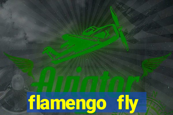 flamengo fly emirates ultimas noticias